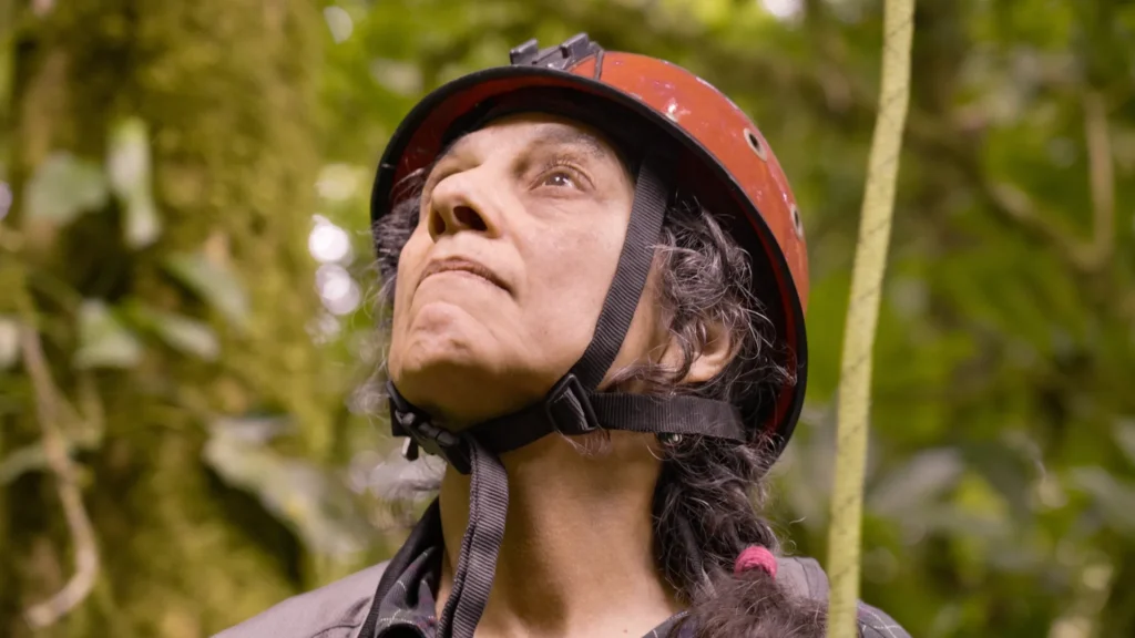 Between Earth and Sky at the 41 North Film Festival