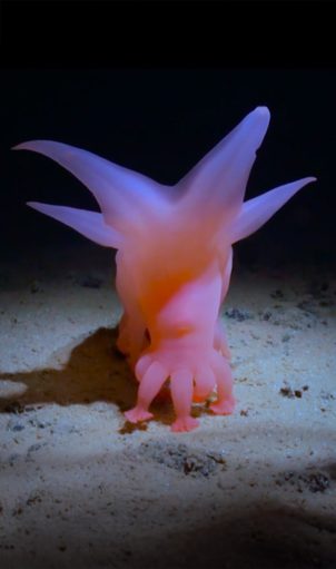 How Deep Is Your Love documentary