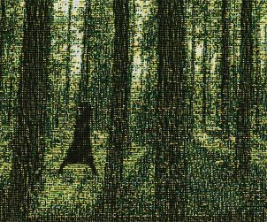 Whose Woods Are These