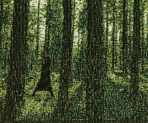 Whose Woods Are These